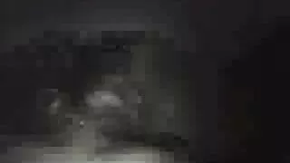 Onlar yalamak ve oyun ile her Diğerleri porno grup hard kedi